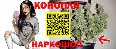 mdpv Новокубанск