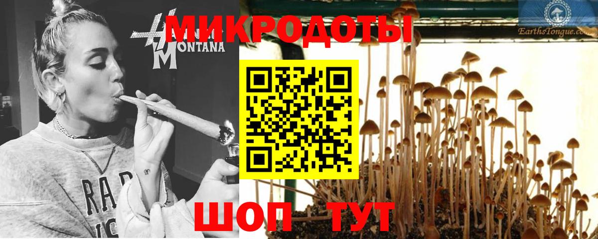 Псилоцибиновые грибы GOLDEN TEACHER Усинск